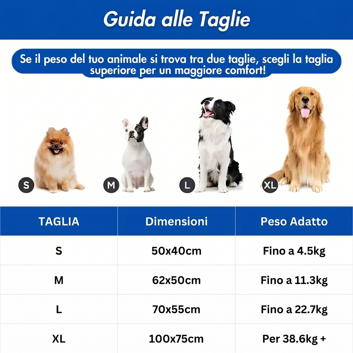 Finalmente. Una soluzione contro il caldo pensata per le razze dal muso schiacciato di Avlina